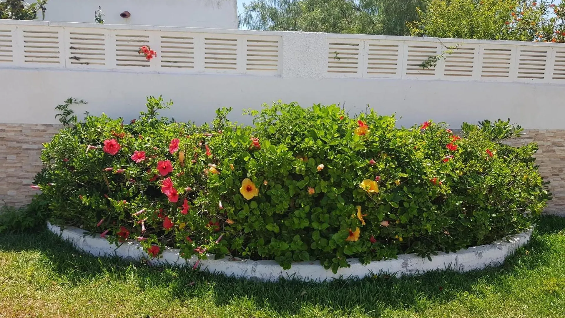 Tuguest Chalet Roquetas Roquetas de Mar Holiday home